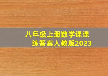 八年级上册数学课课练答案人教版2023