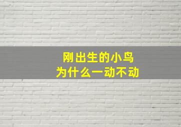 刚出生的小鸟为什么一动不动