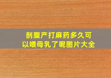 剖腹产打麻药多久可以喂母乳了呢图片大全