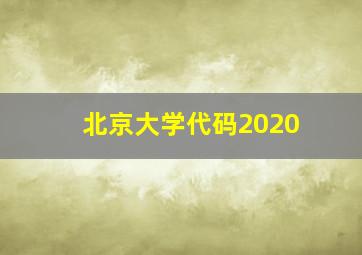 北京大学代码2020