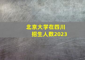 北京大学在四川招生人数2023