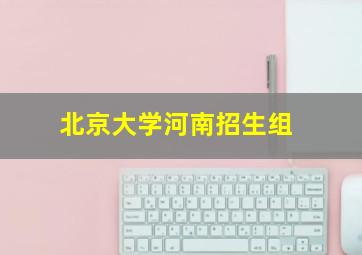 北京大学河南招生组