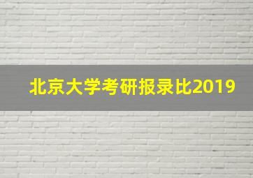 北京大学考研报录比2019