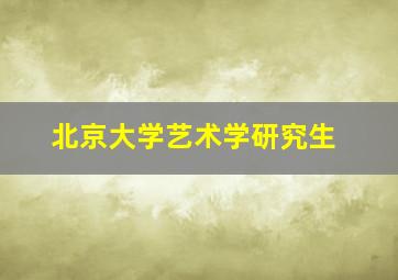 北京大学艺术学研究生