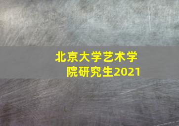 北京大学艺术学院研究生2021