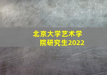 北京大学艺术学院研究生2022