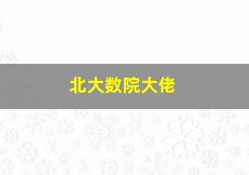 北大数院大佬