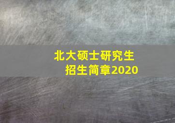 北大硕士研究生招生简章2020