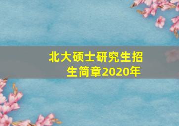 北大硕士研究生招生简章2020年