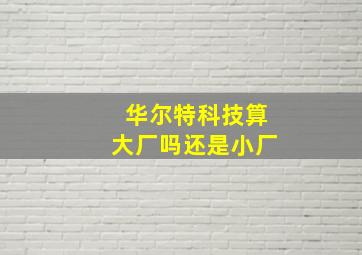 华尔特科技算大厂吗还是小厂