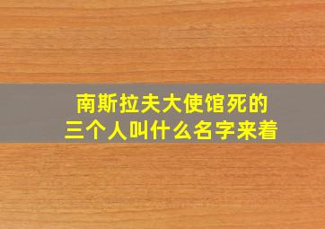 南斯拉夫大使馆死的三个人叫什么名字来着