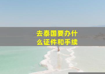 去泰国要办什么证件和手续