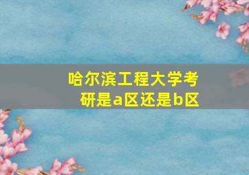 哈尔滨工程大学考研是a区还是b区