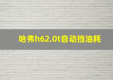 哈弗h62.0t自动挡油耗