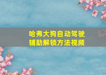 哈弗大狗自动驾驶辅助解锁方法视频