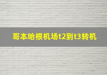 哥本哈根机场t2到t3转机