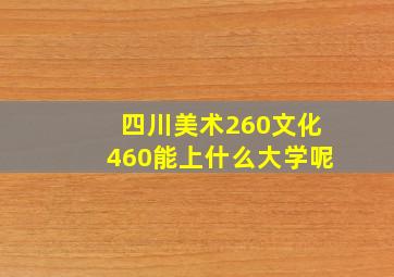 四川美术260文化460能上什么大学呢