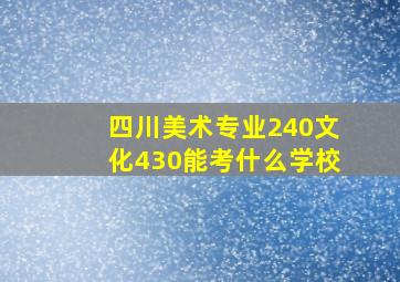 四川美术专业240文化430能考什么学校