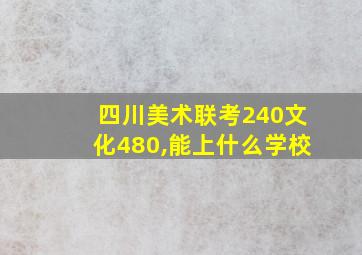 四川美术联考240文化480,能上什么学校