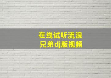 在线试听流浪兄弟dj版视频