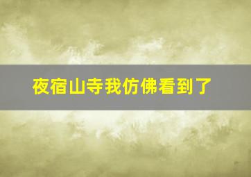 夜宿山寺我仿佛看到了