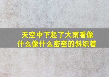 天空中下起了大雨看像什么像什么密密的斜织着