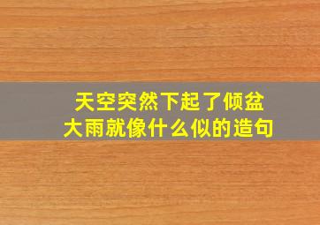 天空突然下起了倾盆大雨就像什么似的造句