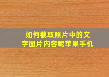 如何截取照片中的文字图片内容呢苹果手机