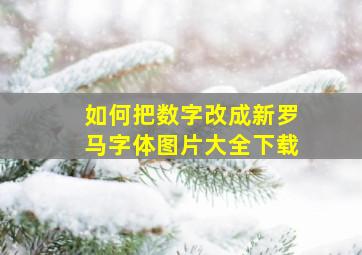 如何把数字改成新罗马字体图片大全下载