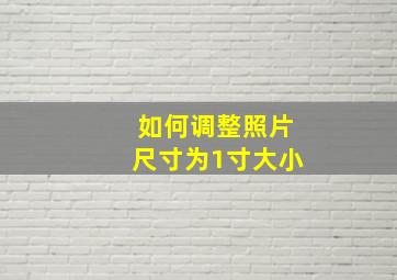 如何调整照片尺寸为1寸大小