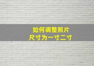 如何调整照片尺寸为一寸二寸