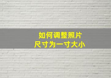 如何调整照片尺寸为一寸大小