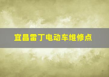 宜昌雷丁电动车维修点