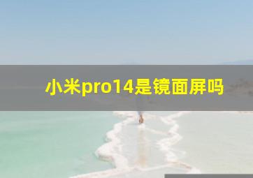 小米pro14是镜面屏吗