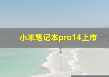 小米笔记本pro14上市