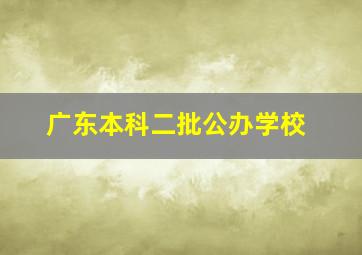 广东本科二批公办学校