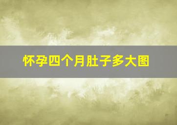 怀孕四个月肚子多大图