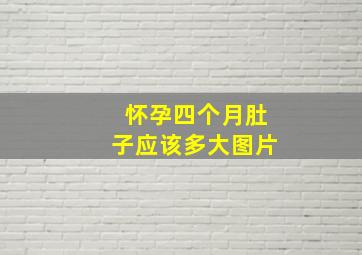 怀孕四个月肚子应该多大图片