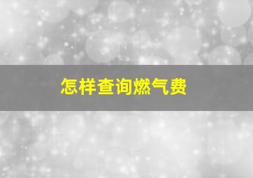 怎样查询燃气费