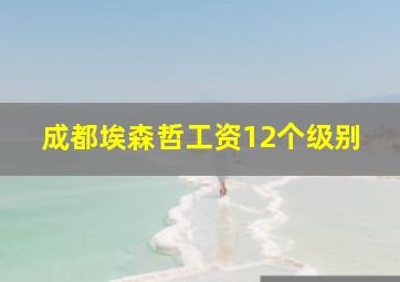 成都埃森哲工资12个级别