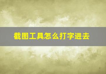 截图工具怎么打字进去