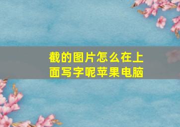 截的图片怎么在上面写字呢苹果电脑