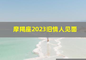 摩羯座2023旧情人见面