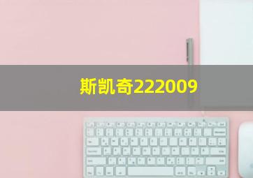 斯凯奇222009