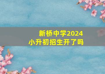 新桥中学2024小升初招生开了吗