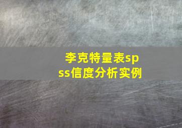 李克特量表spss信度分析实例