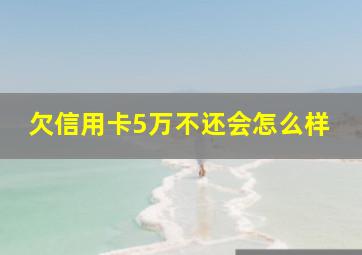 欠信用卡5万不还会怎么样