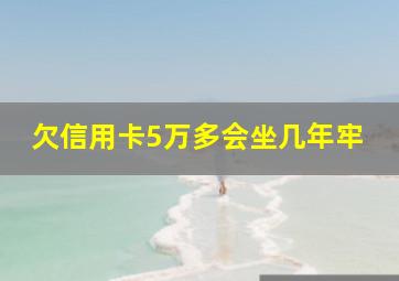 欠信用卡5万多会坐几年牢