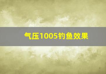 气压1005钓鱼效果