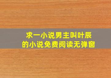 求一小说男主叫叶辰的小说免费阅读无弹窗